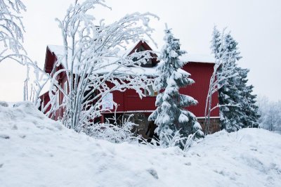 Scenes on the Holmenkollen