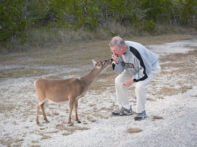 Me n Very Curious Key Doe