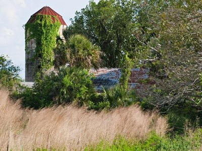 Overgrown Barn