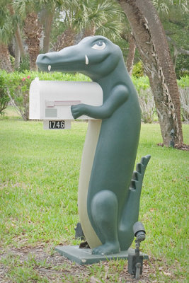 Alligator Mailbox