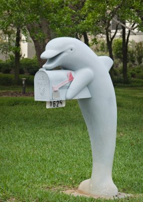 Porpoise Mailbox