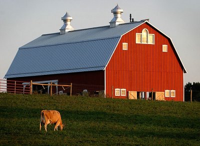 Red Red Barn