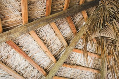 Thatched Roof Detail