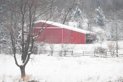 Red Shed w Snow
