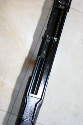 DPP_2469.JPG