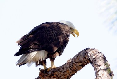 g3/41/749241/3/122380092.EIT1kx5E.jpg