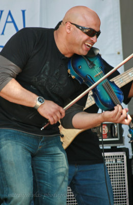 violin 4