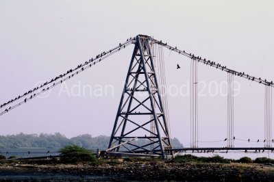 Khi_09009.JPG