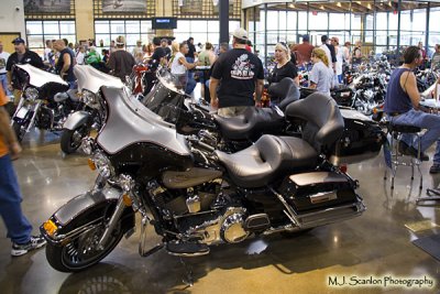 IMG_9655 copy.jpg