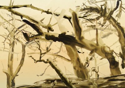 Apple Tree