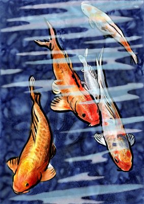 Koi 1