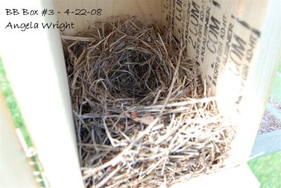 Nest Complete - 4-22-08.jpg
