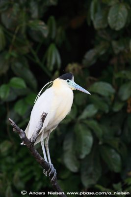 IMG_0013.jpg