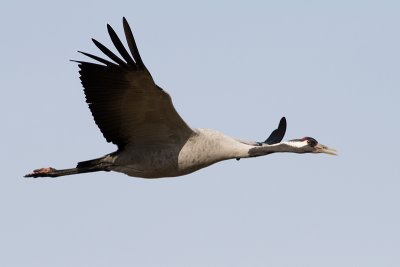 IMG_6878.jpg