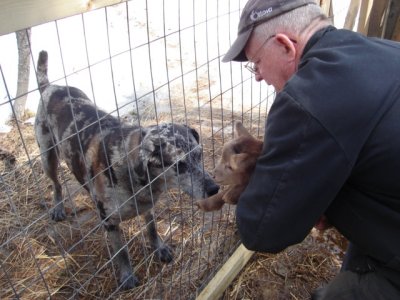 Toby meets Seamus.jpg