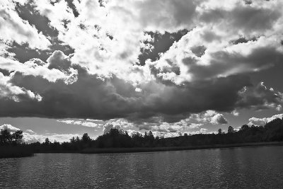IMG_5277.jpg