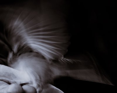 g3/41/938641/3/122290713.o3l7bmQo.jpg