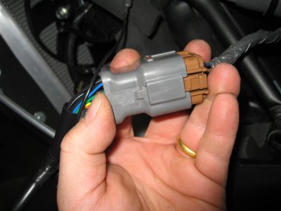 The gray power commander connects to the bike side connectors