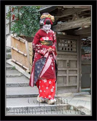  Geisha image 014
