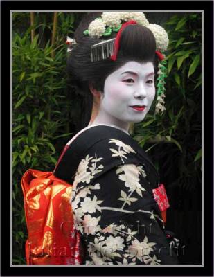  Geisha image 034