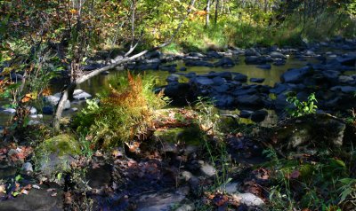 Russell Fork River  #3