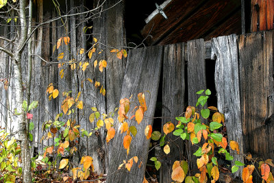 October 5, 2007 #1