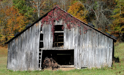 October 25, 2007 #2