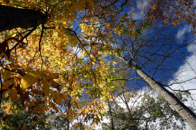 October 25, 2007 #5