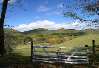 October 27, 2007 #2
