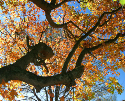 October 29, 2007 #9