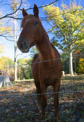 October 29, 2007 #13