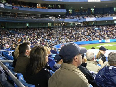 Fans, the backstop, the press box and behind home plate