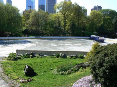 Ice Rink in Central Park