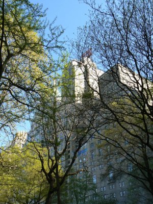 Midtown buildings seen through Central Park trees