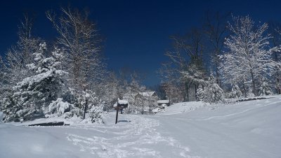 MARCH SNOWFALL - VIEW FROM THE DRIVEWAY - ISO 80