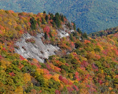 VIEW FROM MOUNT MITCHELL