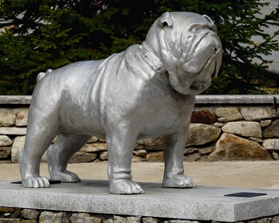 UNCA MASCOT