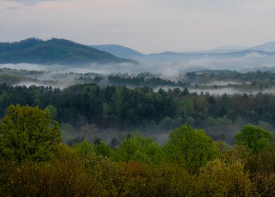 GROUND FOG AFTER A LATE AFTERNOON SPRING RAIN - ISO 800