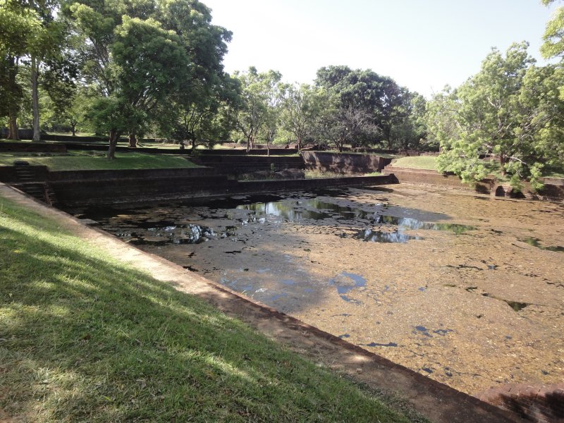 water gardens