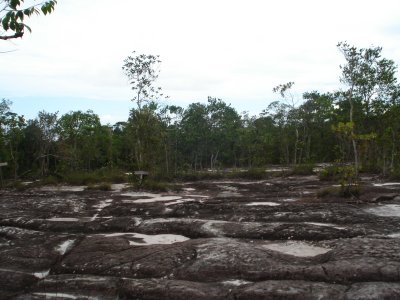 barren land
