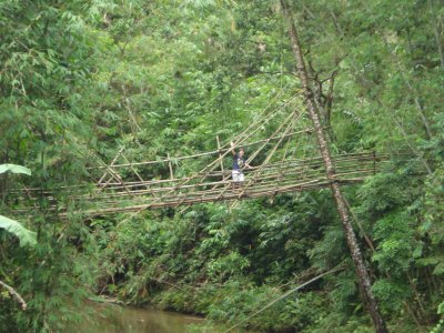 me on real bamboo bridge 1
