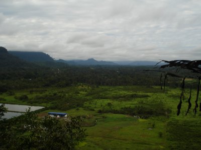 view