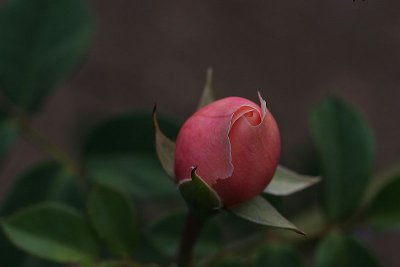g3/42/347642/3/87635071.dvOlqgxc.jpg