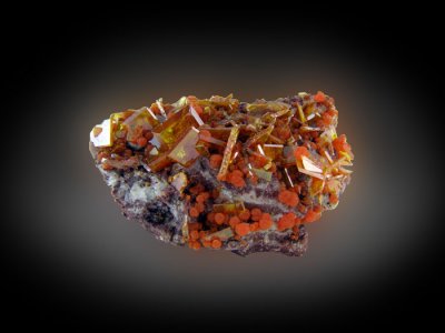 12. Wulfenite & Mimetite on Barite, Rowley Mine, near Theba, Maricopa Co. AZ