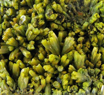 4b. Macro view of Pyromorphite.