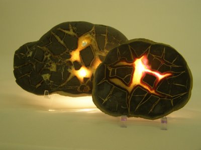 41a. Septarian Nodules again.