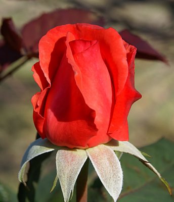 20090414_2.JPG