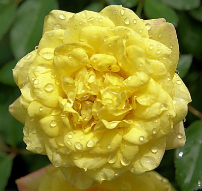 20090418_4.JPG