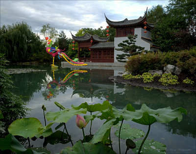 PU060909_11C.jpg