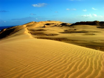 New Zealand Sand Dunes
